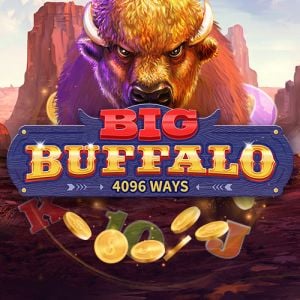 Big Buffalo - -