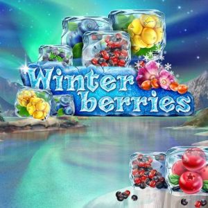 Winter Berries - -
