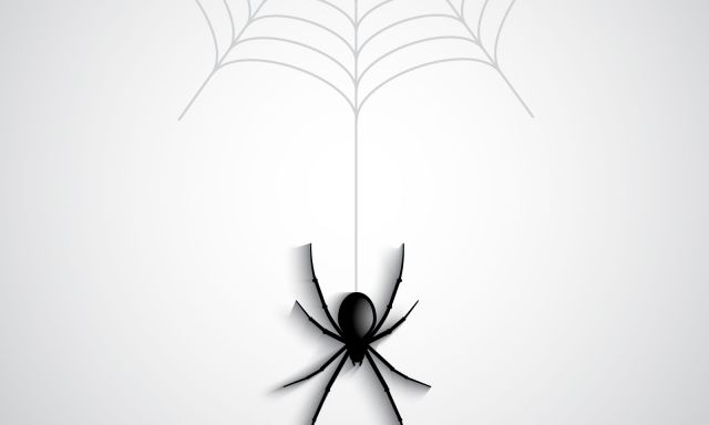 Spider: il solitario più famoso al mondo - -